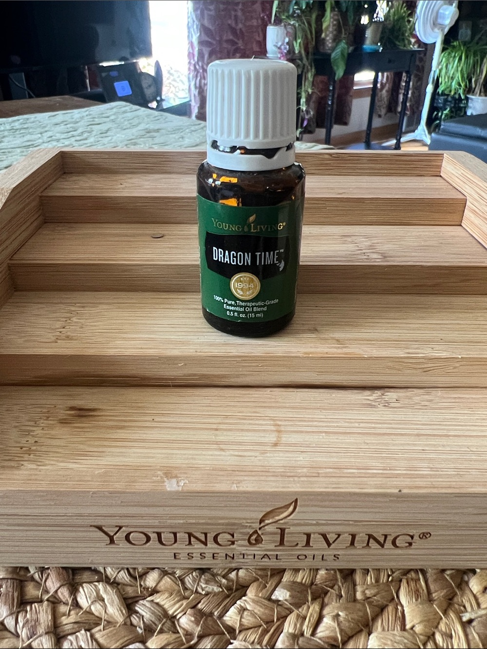 Young Living Dragon Time Essential Oil Blend - green and white